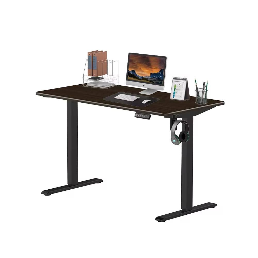 Modern Home Office Electric Lifting Adjustable Standing Desk