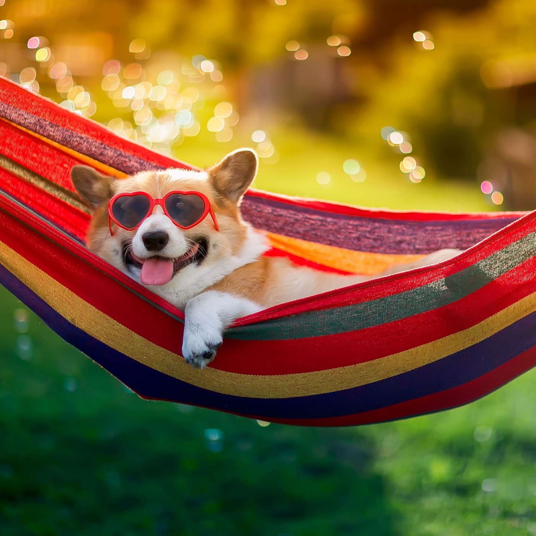 Canvas Hammock Bed Folding Hanging Wholesale Swing Portable Outdoor Camping Hammock