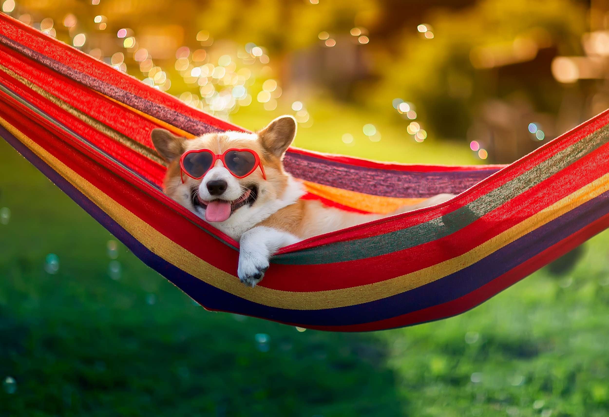 Canvas Hammock Bed Folding Hanging Wholesale Swing Portable Outdoor Camping Hammock