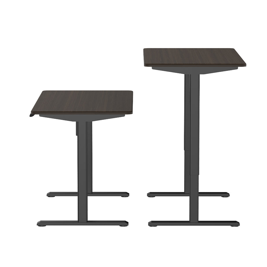 Modern Home Office Electric Lifting Adjustable Standing Desk