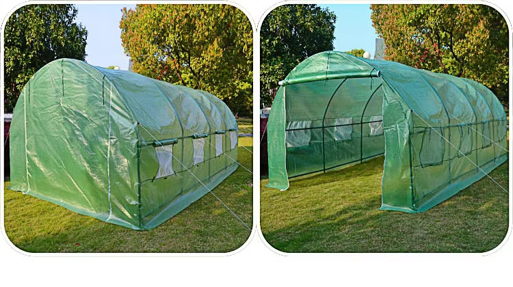 4*3M 6*3M 8*3M Green House Galvanized Tube Tunnel Garden Greenhouse Cover