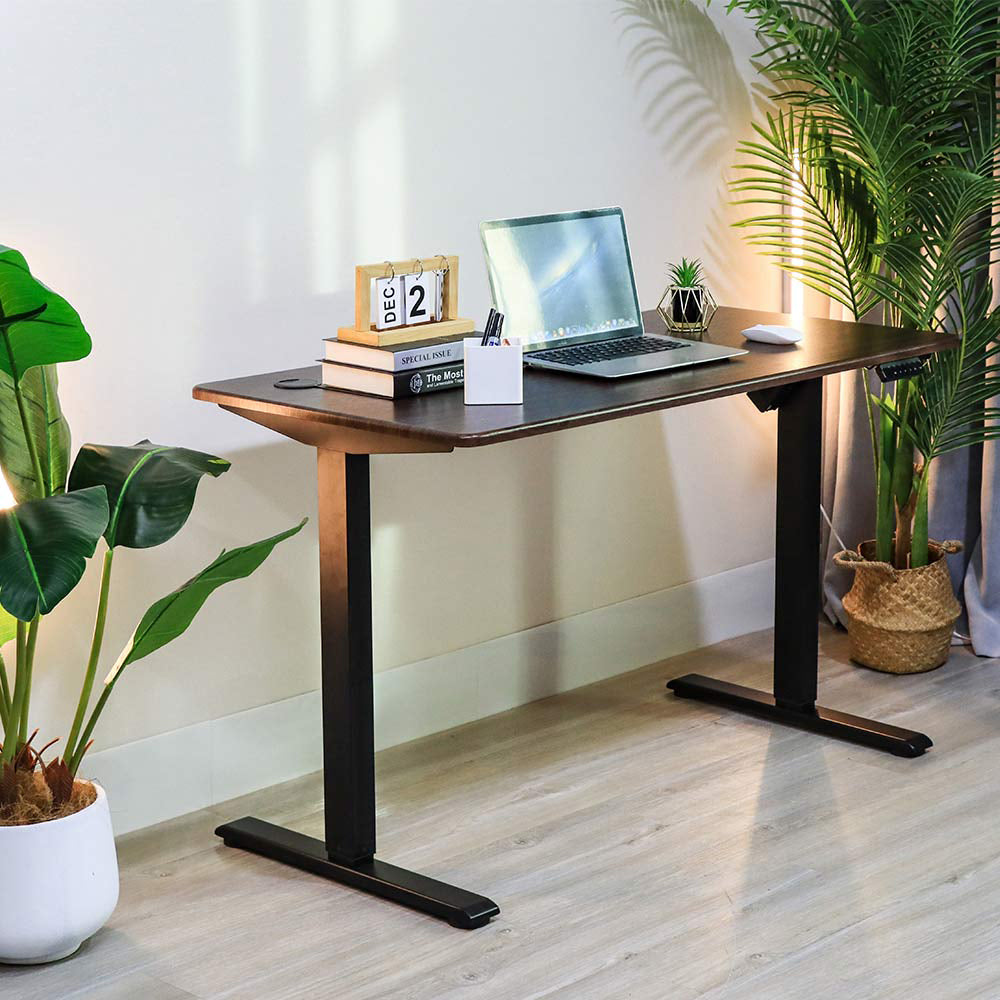 Modern Home Office Electric Lifting Adjustable Standing Desk