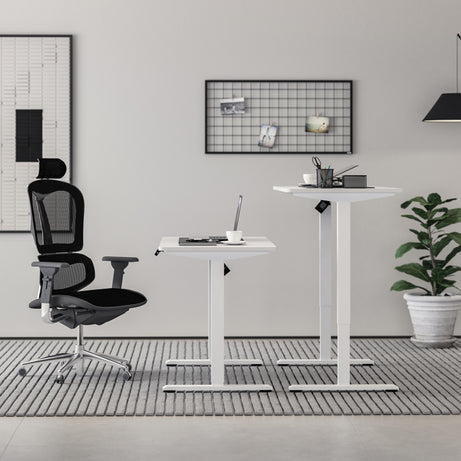 Single Motor Home Office Electric Height Adjustable Standing Desk