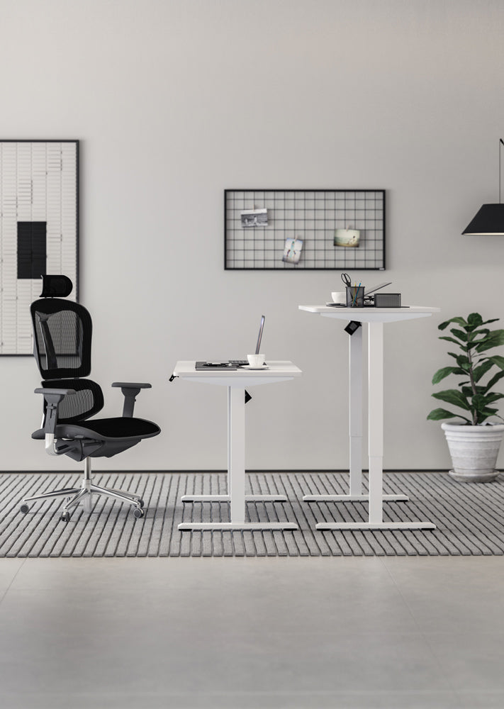 Single Motor Home Office Electric Height Adjustable Standing Desk
