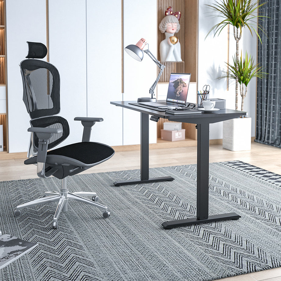 Modern Home Office Electric Lifting Adjustable Standing Desk