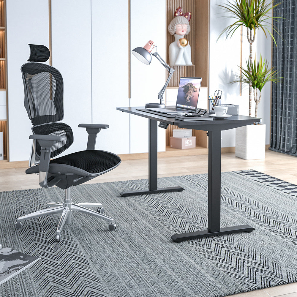 Modern Home Office Electric Lifting Adjustable Standing Desk