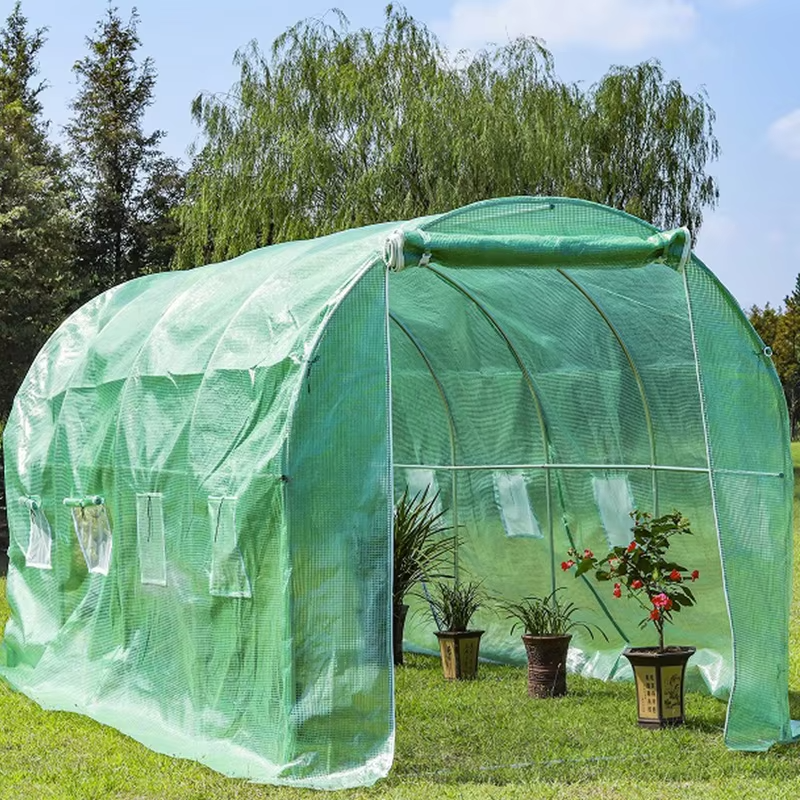 4*3M 6*3M 8*3M Green House Galvanized Tube Tunnel Garden Greenhouse Cover