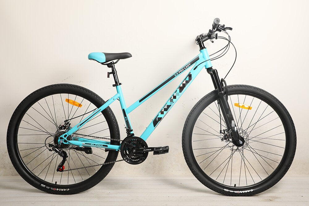 29x17 Inch Mountain Bike Bicycle For Adult